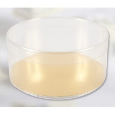 Clear Round Box  - 3 x 1"