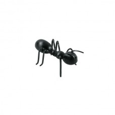 3D Ant