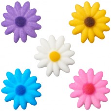 Medium Daisies Asst.