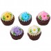Medium Daisies Asst.