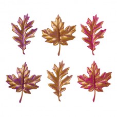 Large Fall Leaves