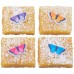 Spring Butterfly