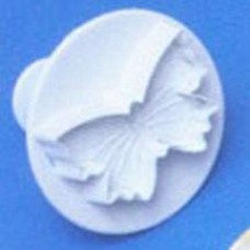 Veined butterfly