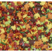 Autumn Fusion Sprinkles Mix
