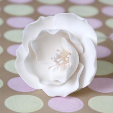 Briar Roses - Small - White