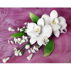 Double African Orchid Sprays - White