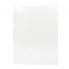 Extra Clear Bags 4 15/16” x 6 11/16”