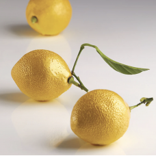 CITRON - Pavoni