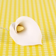 Calla Lilies - Small - White