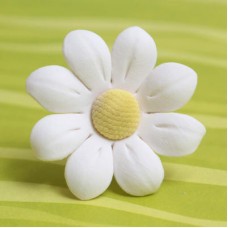 Daisies - Large - White