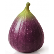 FIG - Chefs Signature