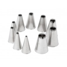 10 French Star Tips Decorating Set