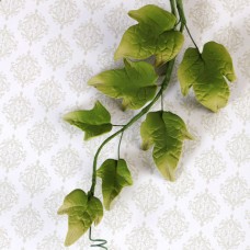 Ivy Leaf Filler - Green
