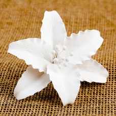 Casablanca Lilies - White