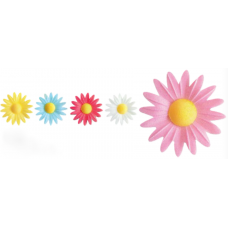 Daisies - Small - Asst.