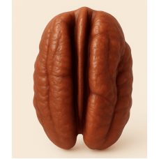 NOIX DE PECAN - Chefs Signature