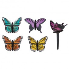 Butterfly Pics