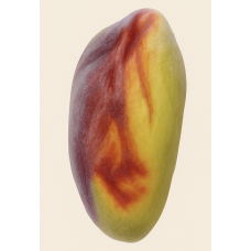 PISTACHE - Chefs Signature
