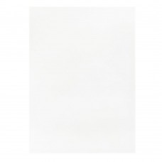 Extra Clear Bags 3 13/16" x 5 5/16"