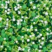 St-Patrick Fusion Sprinkles Mix