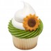 Sunflower Sugar