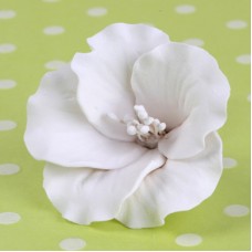 Azaleas - Medium - White